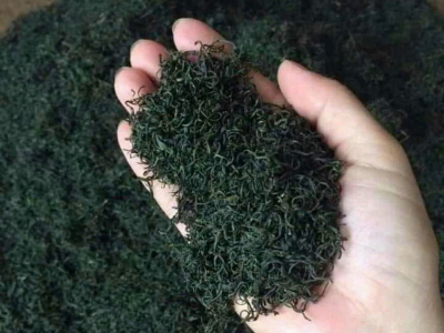 TRÀ HỮU CƠ – TINH HOA TRÀ VIỆT