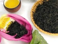 🌸 TRÀ ƯỚP SEN TƯƠI TÂY HỒ