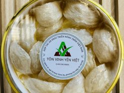 YẾN RÚT LÔNG KHÔ NGUYÊN TỔ 100gr